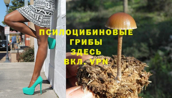 МДМА Кукмор