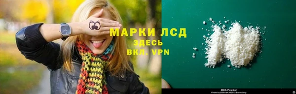 крисы Абаза