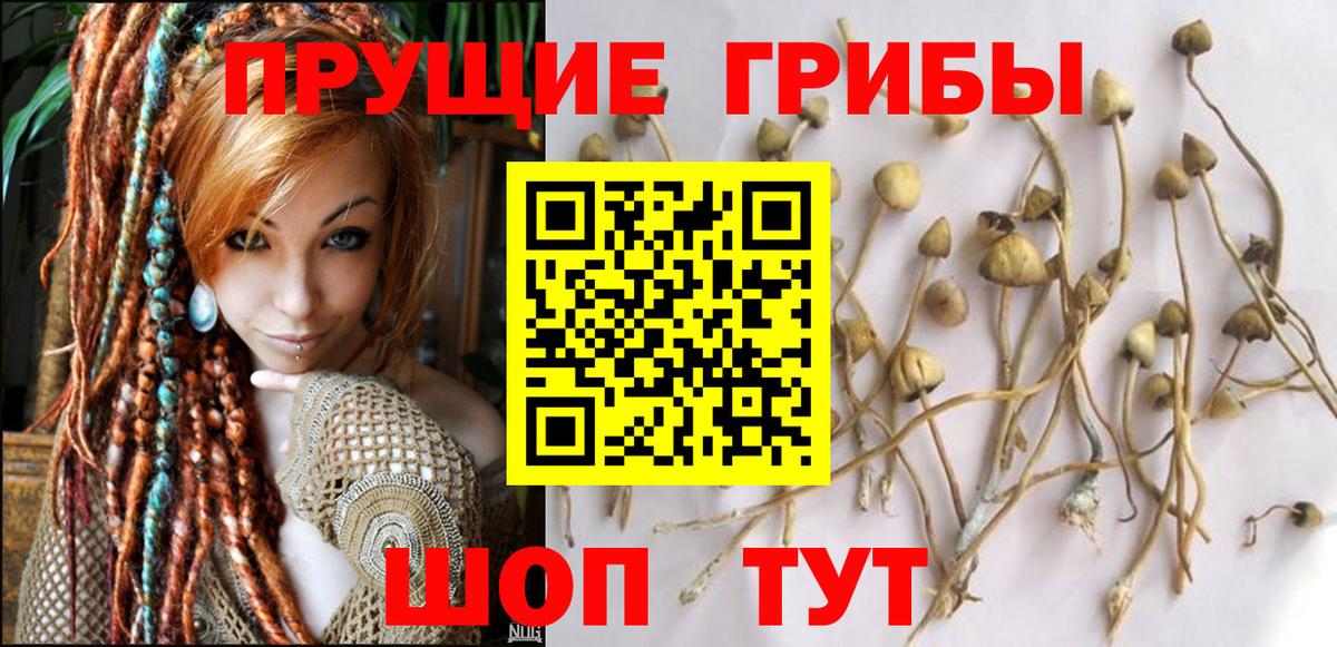 Псилоцибиновые грибы MAGIC MUSHROOMS  Вход с VPN  Копейск  Галлюциногенные грибы Psilocybe 