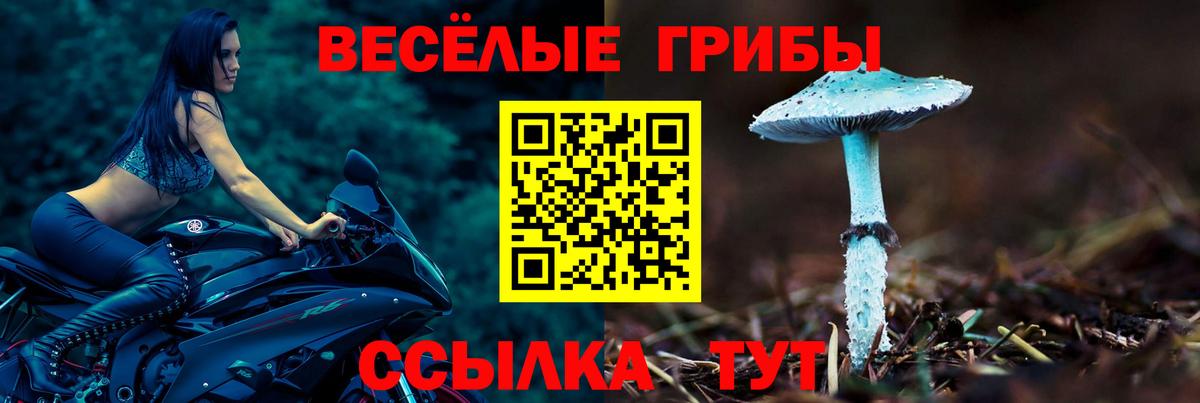 Псилоцибиновые грибы прущие грибы  Копейск  Галлюциногенные грибы мицелий 