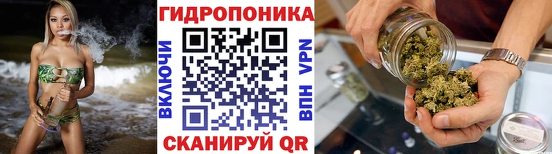 Канабис VHQ  KRAKEN   Копейск 